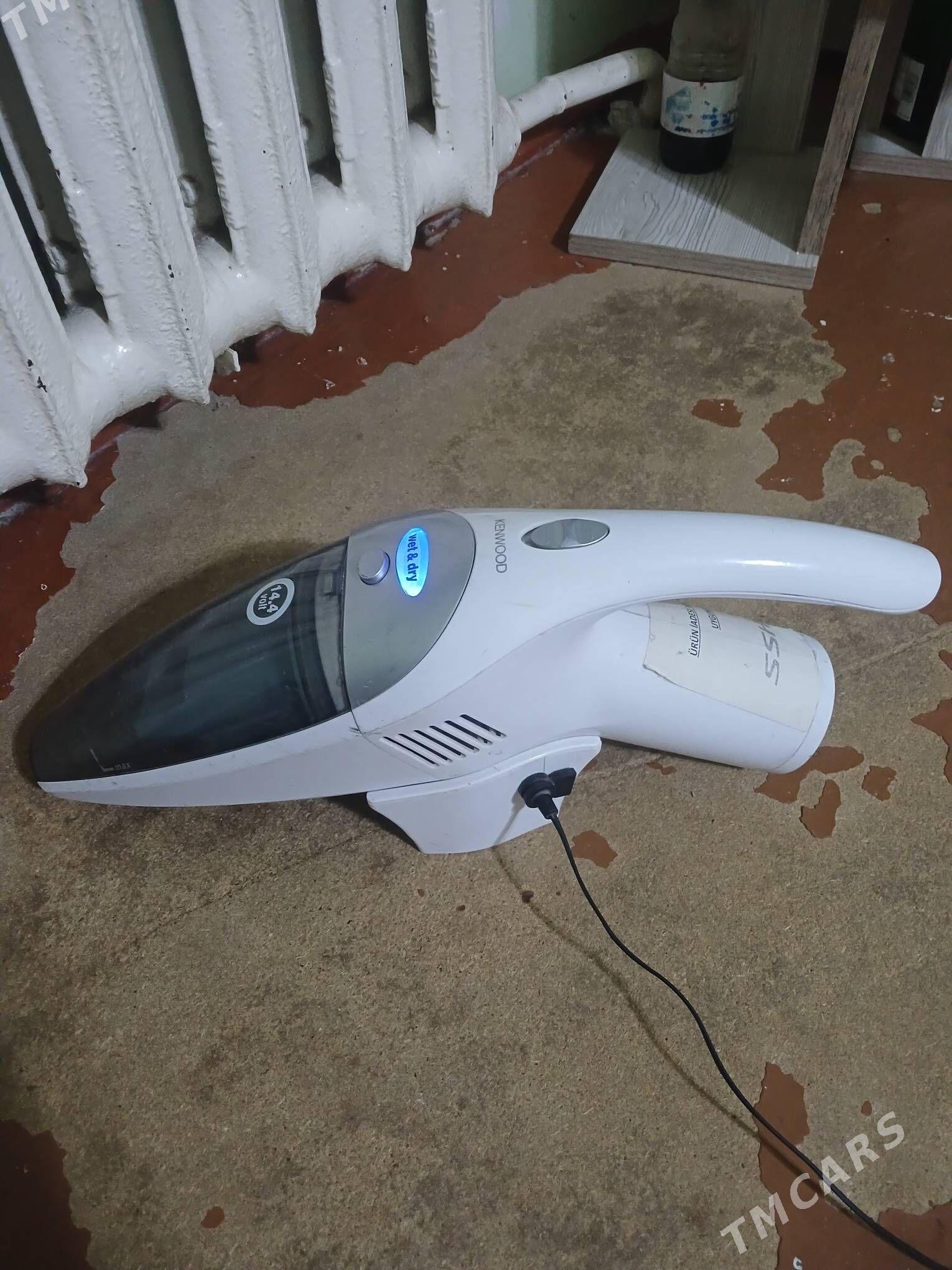 palesos - Дашогуз - img 2