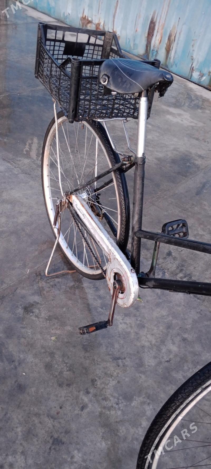 WELSOPED - Серахс - img 6