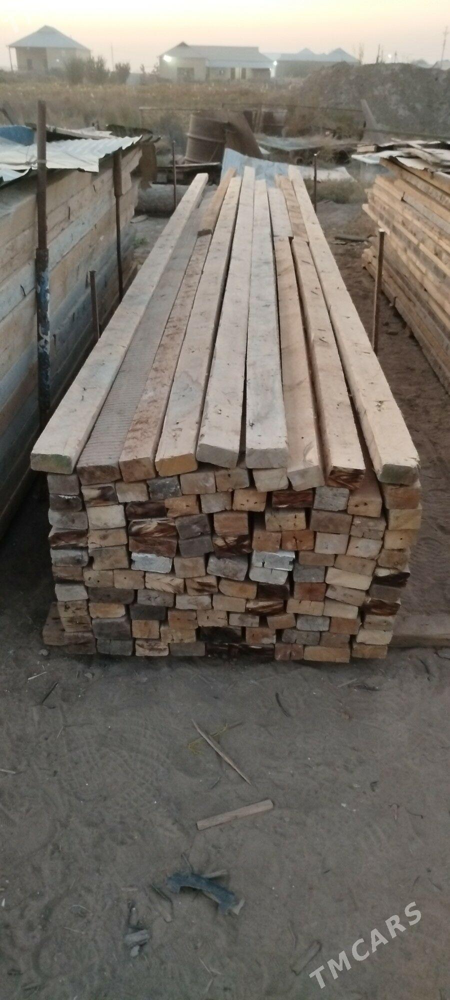 agaçlar - Murgap - img 2