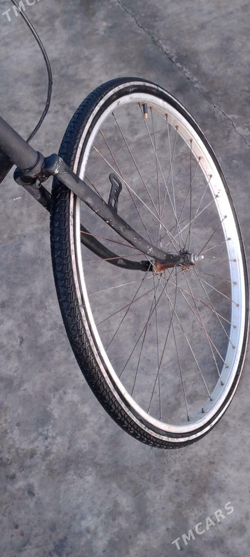 WELSOPED - Серахс - img 7