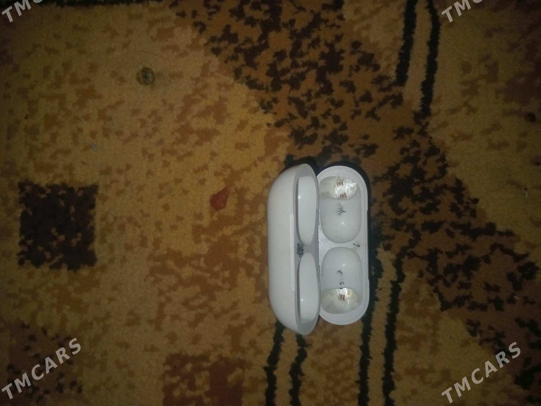 nausnik dasy - Бекреве - img 4