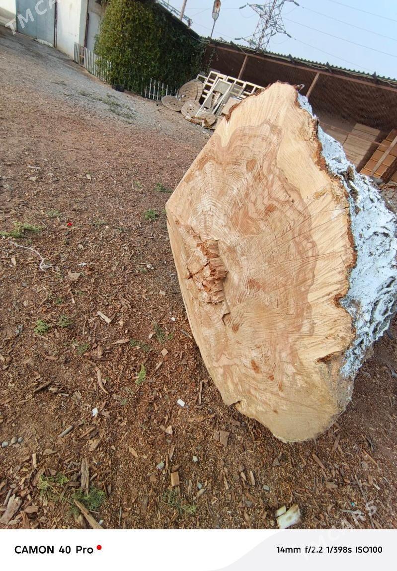 Gassap  Çapgy. - Бузмеин - img 2