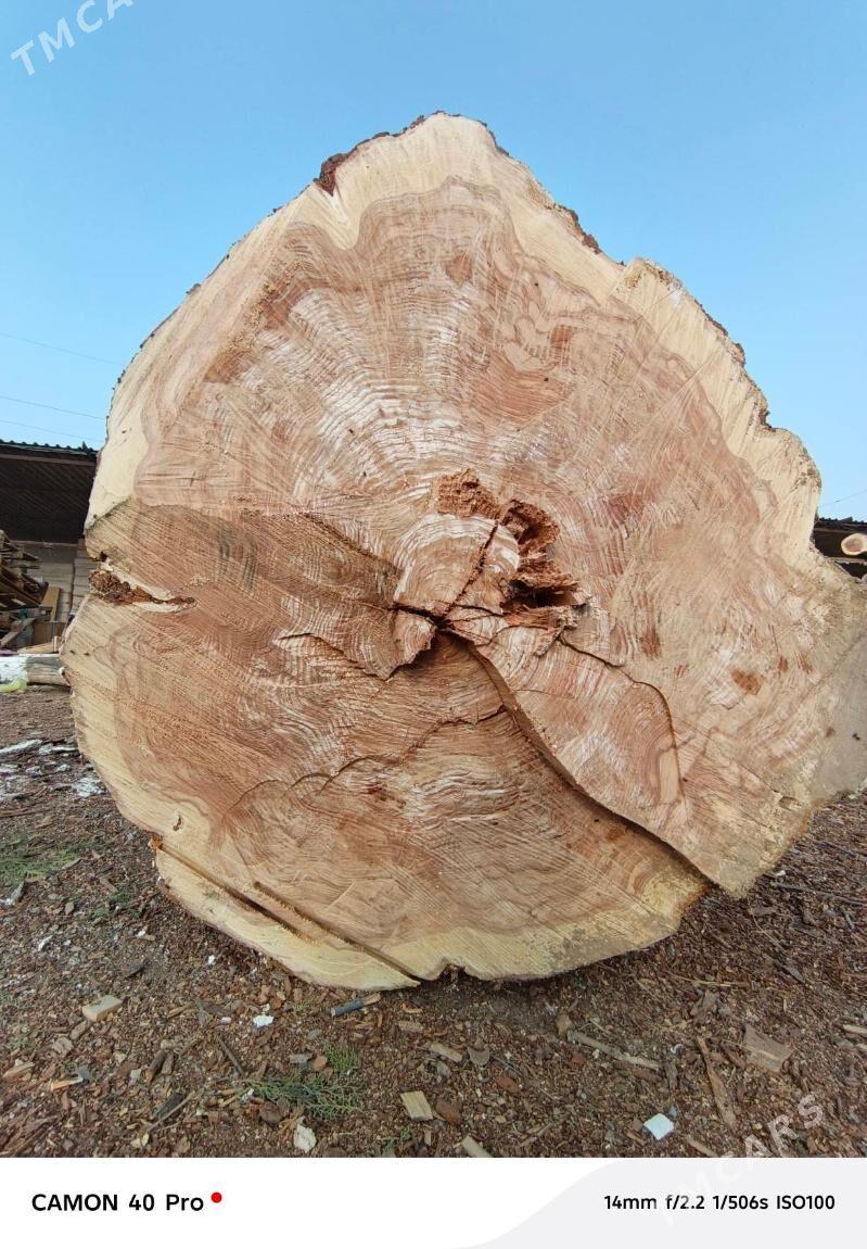 Gassap  Çapgy. - Бузмеин - img 3