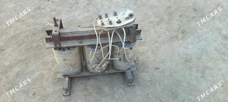 swarka - Mary - img 1