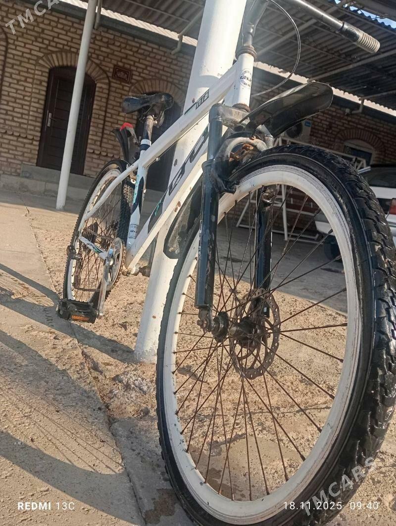 amertazator - Mary - img 2