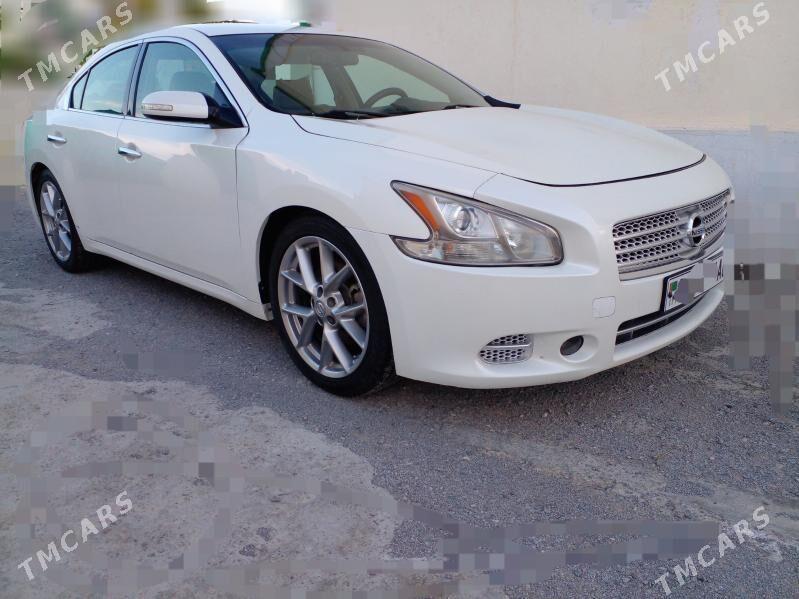 Nissan Maxima 2010 - 160 000 TMT - Aşgabat - img 1