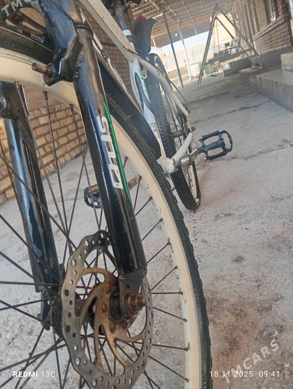 amertazator - Mary - img 5