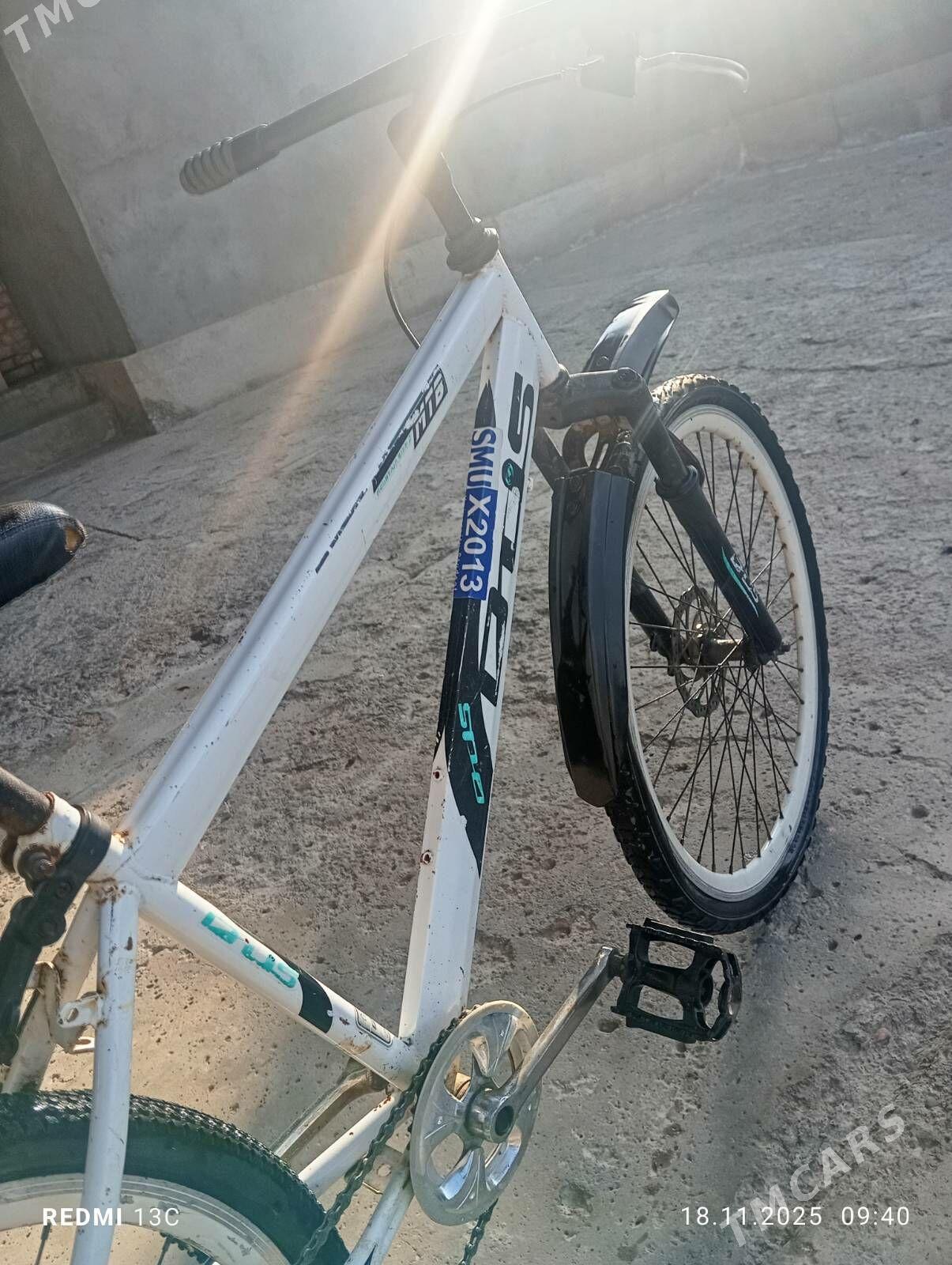 amertazator - Mary - img 4