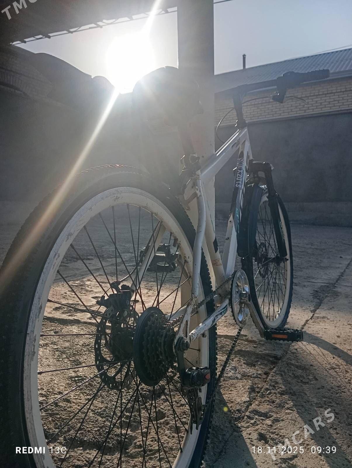 amertazator - Mary - img 1