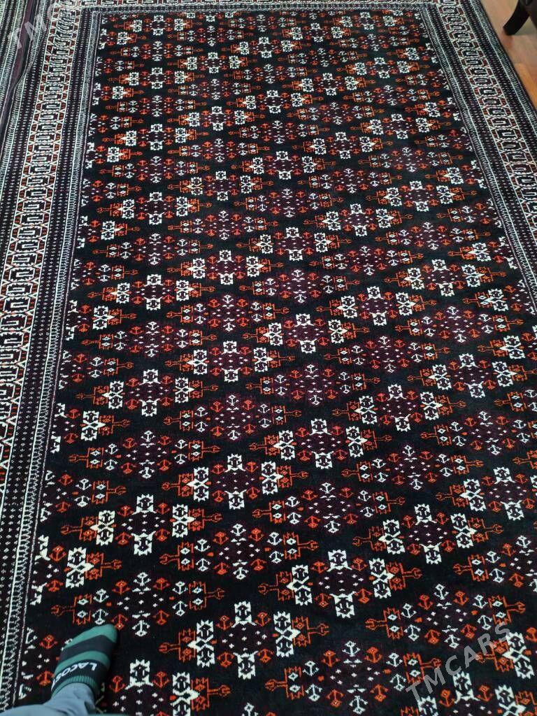 Haly - Balkanabat - img 3