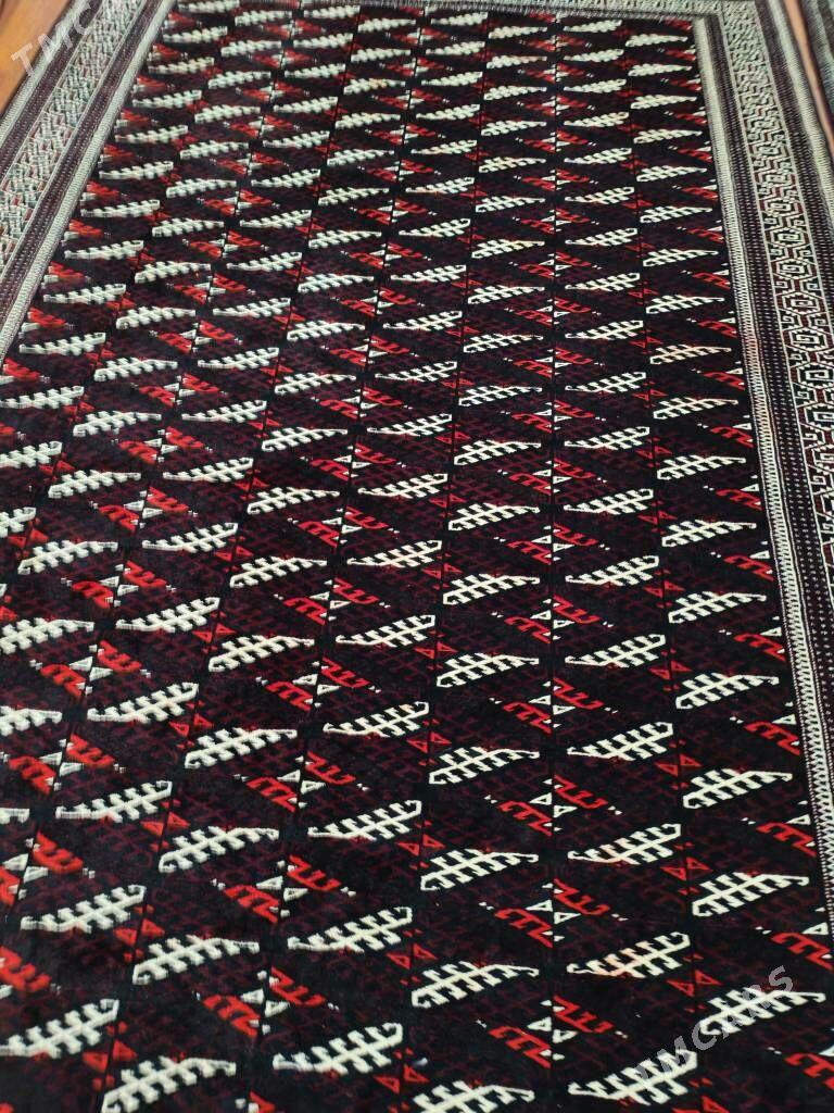 Haly - Balkanabat - img 2