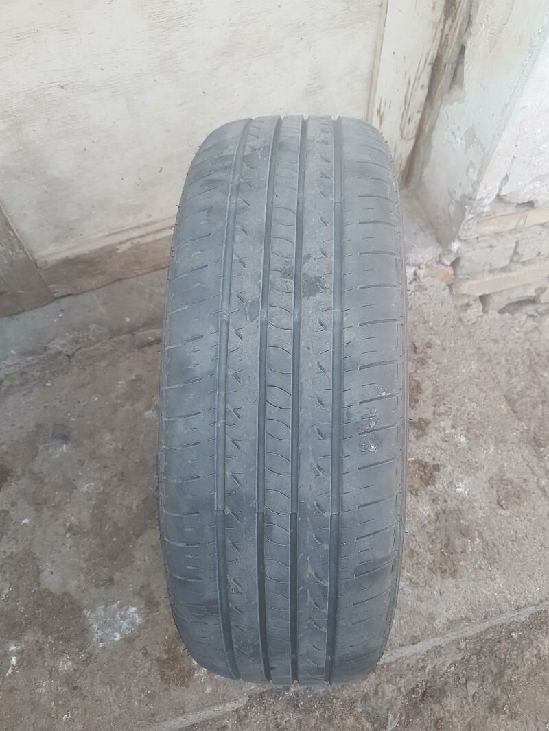 15 lik diska balon 600 TMT - Дашогуз - img 2