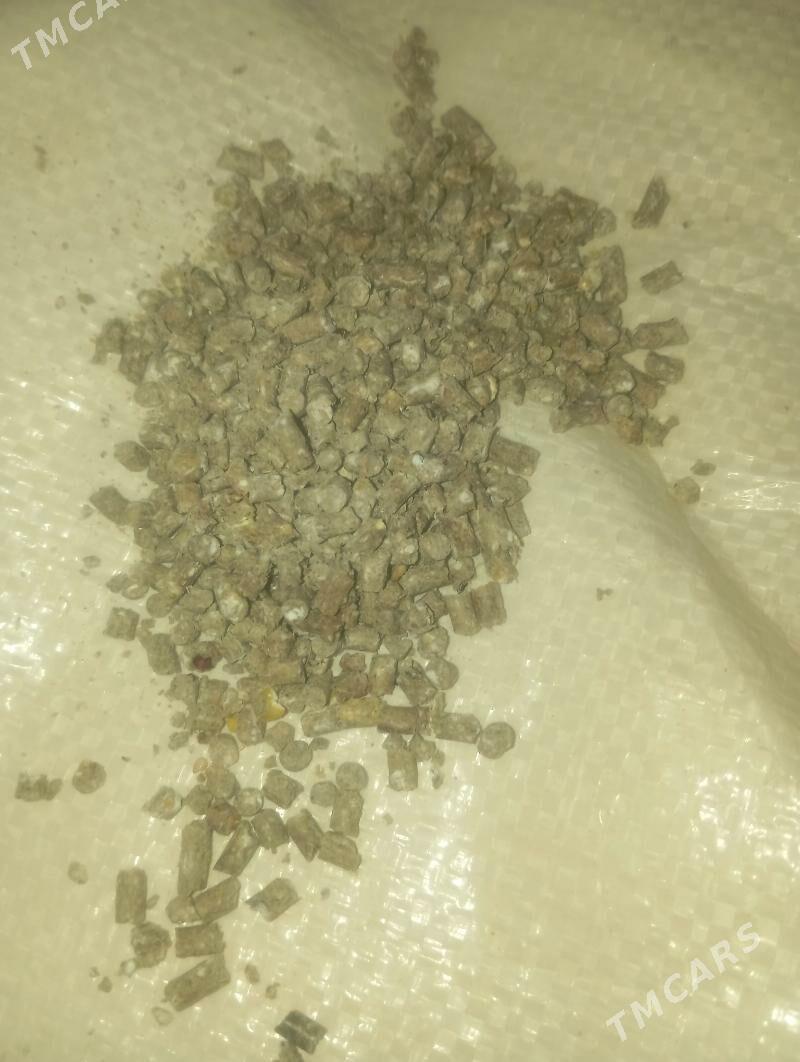 Iym корм комбикорма для курнес - Daşoguz - img 1