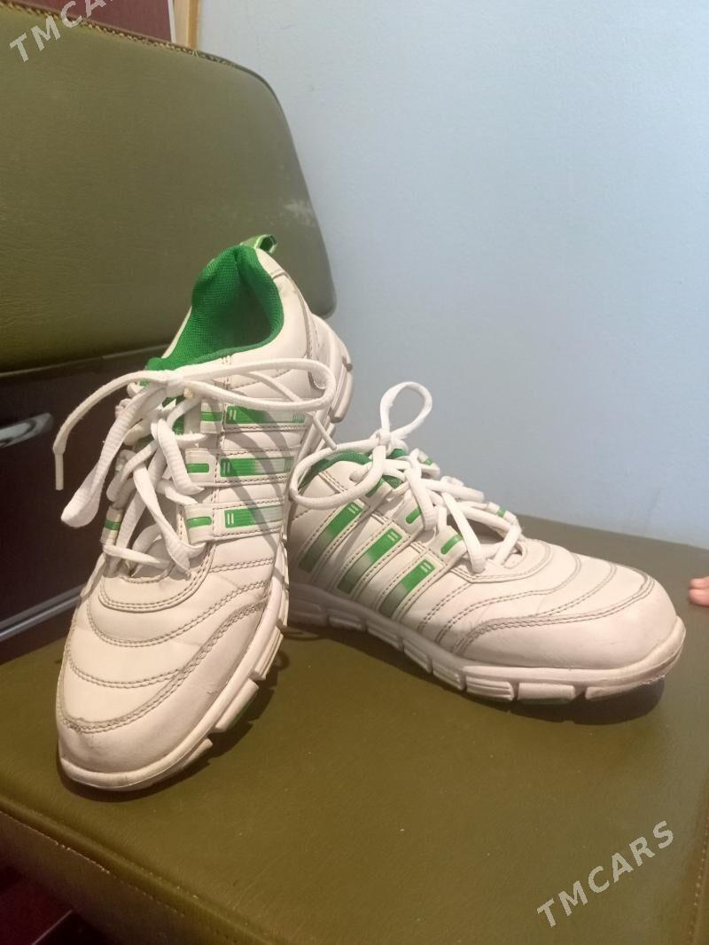 krasowka - Aşgabat - img 2