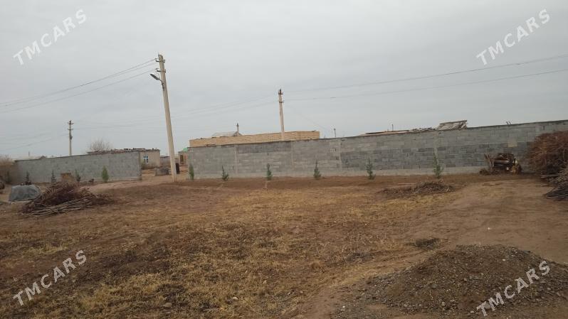 Jay - Теджен - img 2