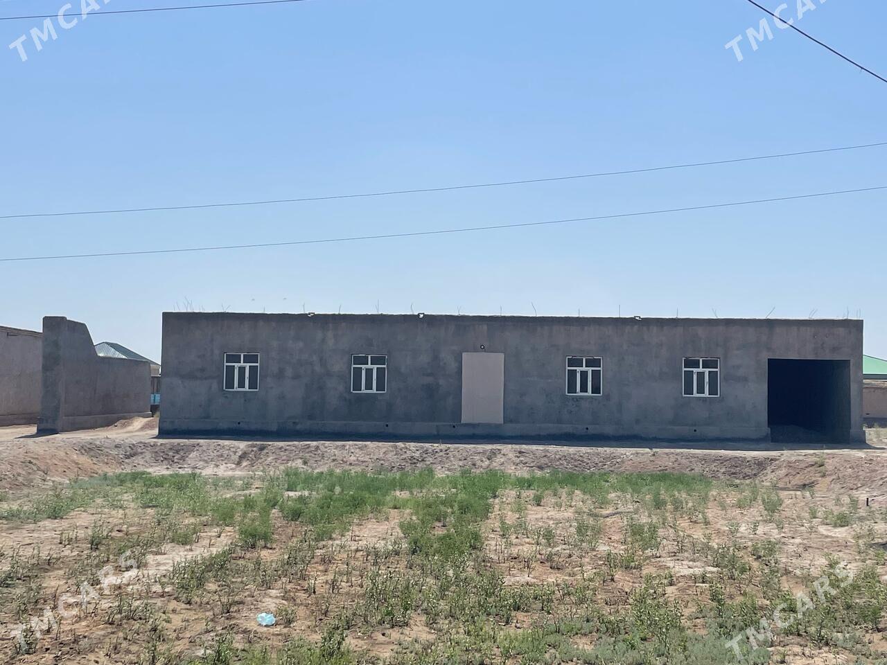 Satlyk jay - Akdepe - img 1