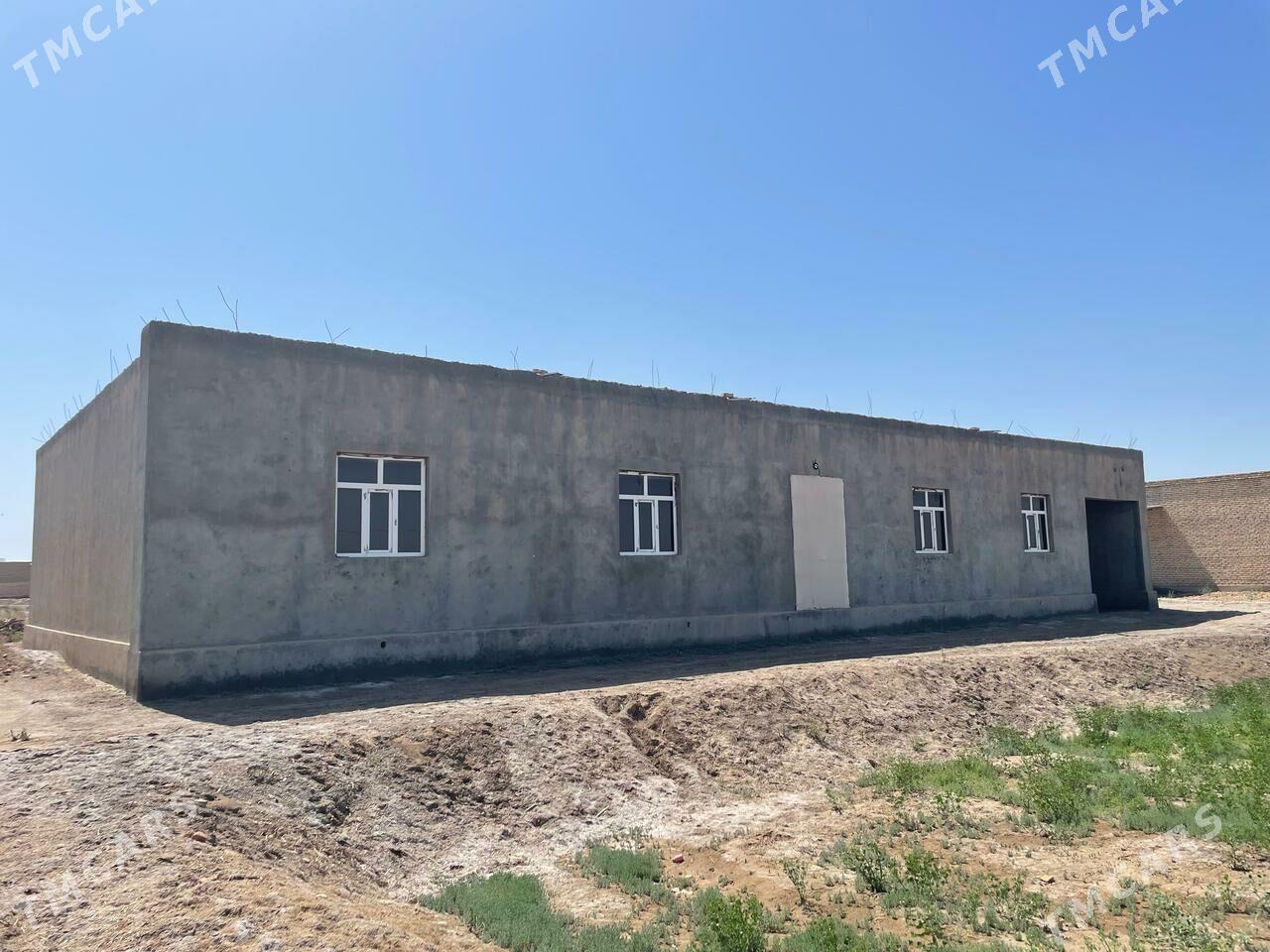 Satlyk jay - Akdepe - img 2