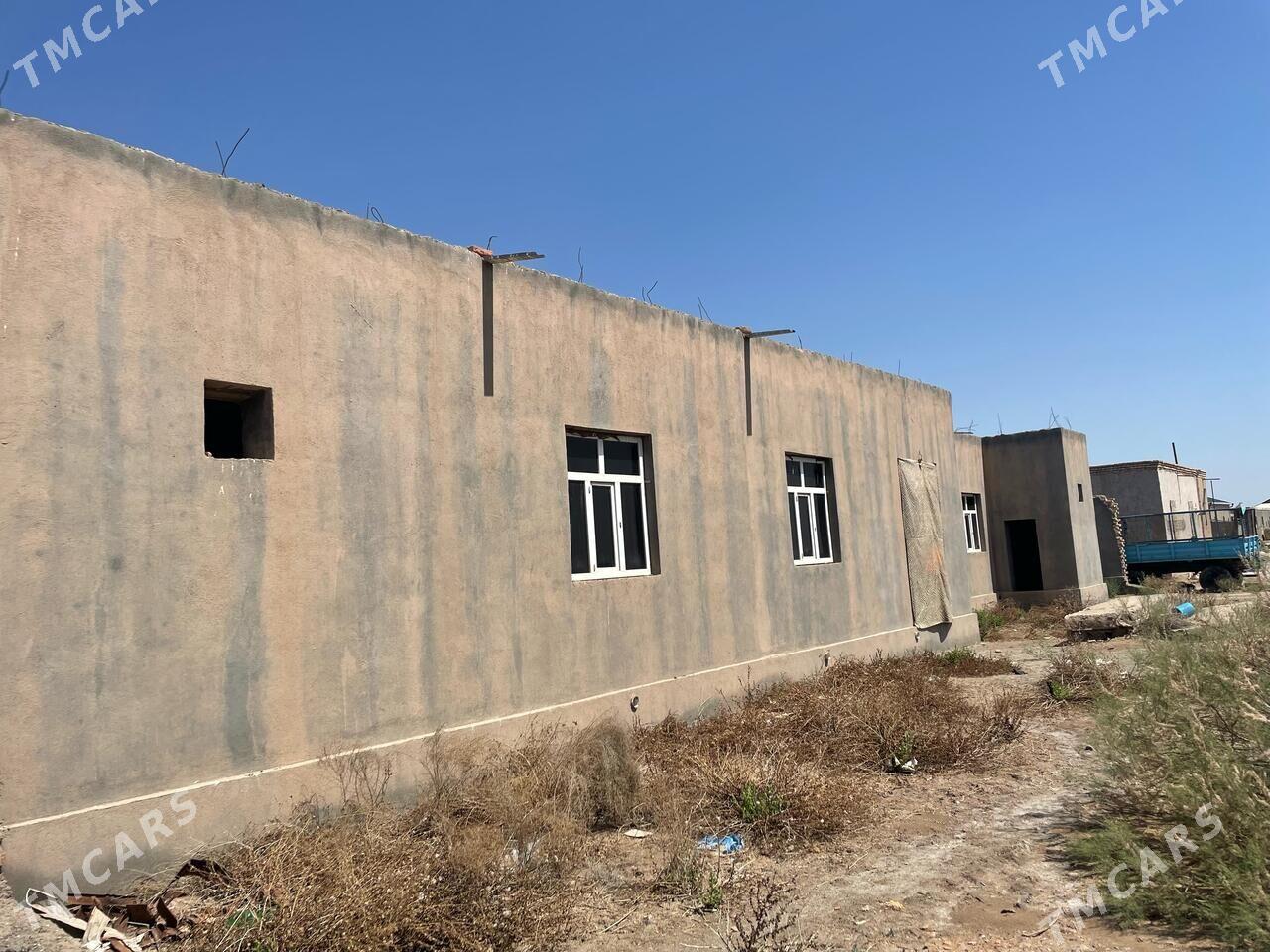 Satlyk jay - Akdepe - img 3