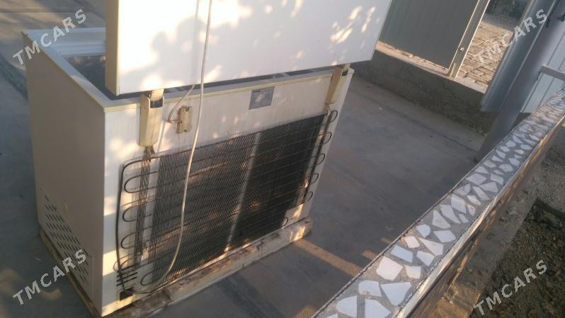 marazilnik - Mary - img 3