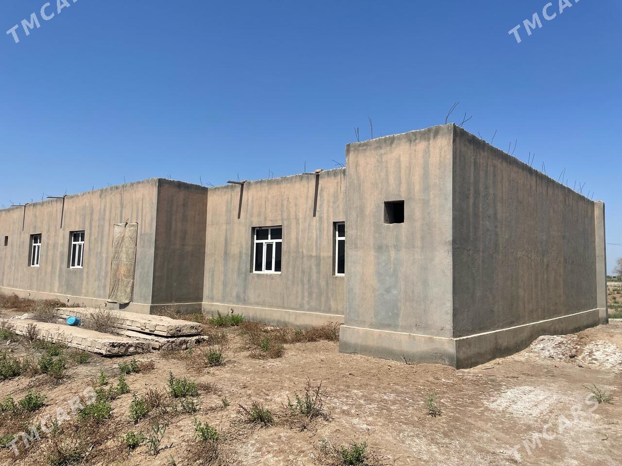 Satlyk jay - Akdepe - img 4