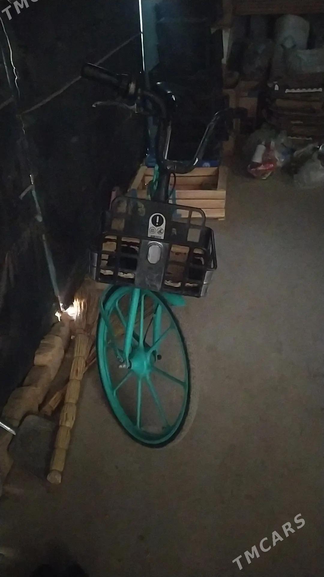 Kitay welik - Türkmenabat - img 2