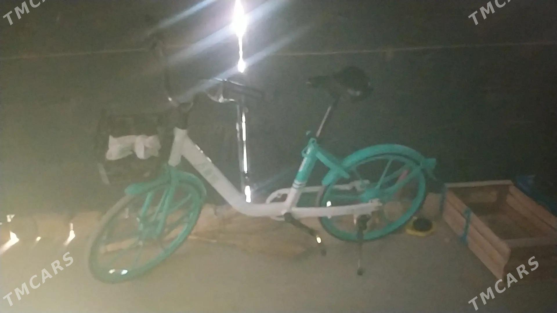 Kitay welik - Türkmenabat - img 3