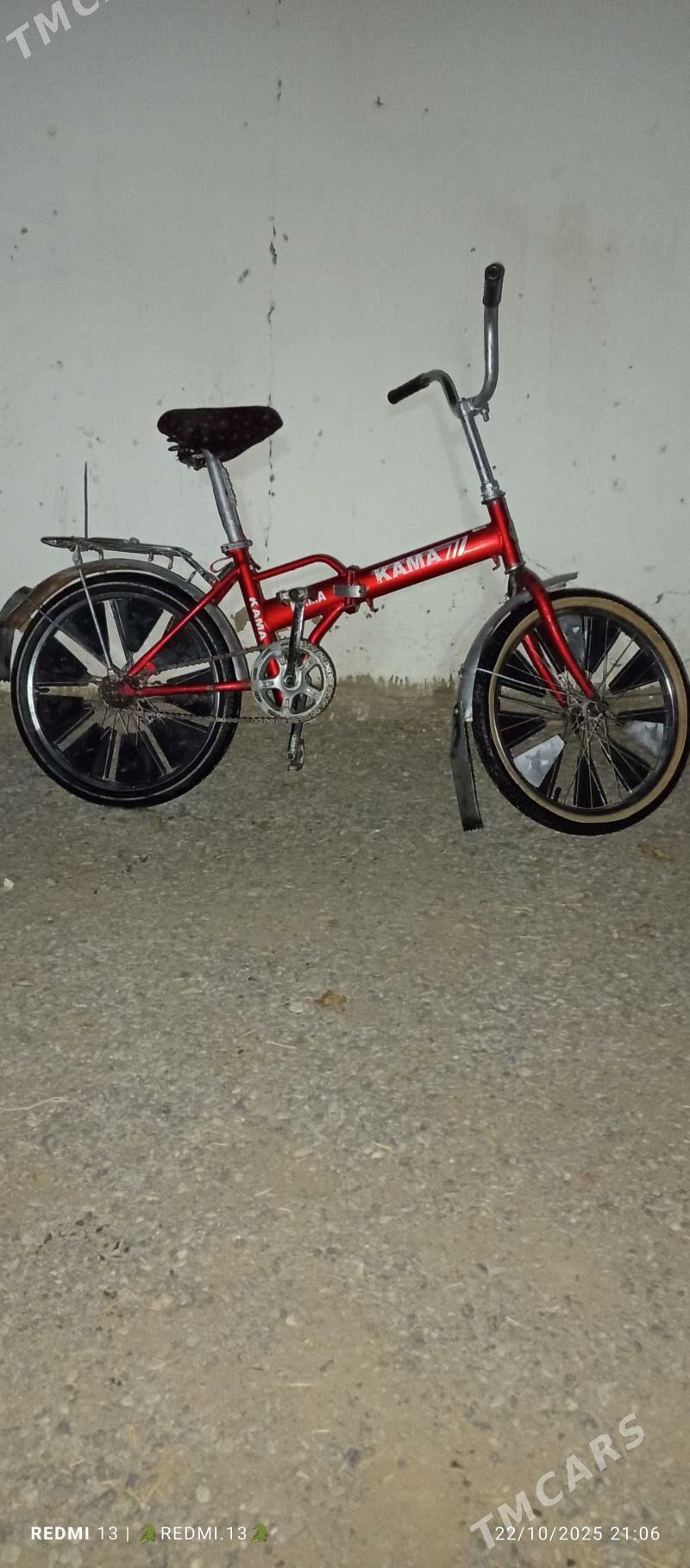 tigir - Гёкдепе - img 2