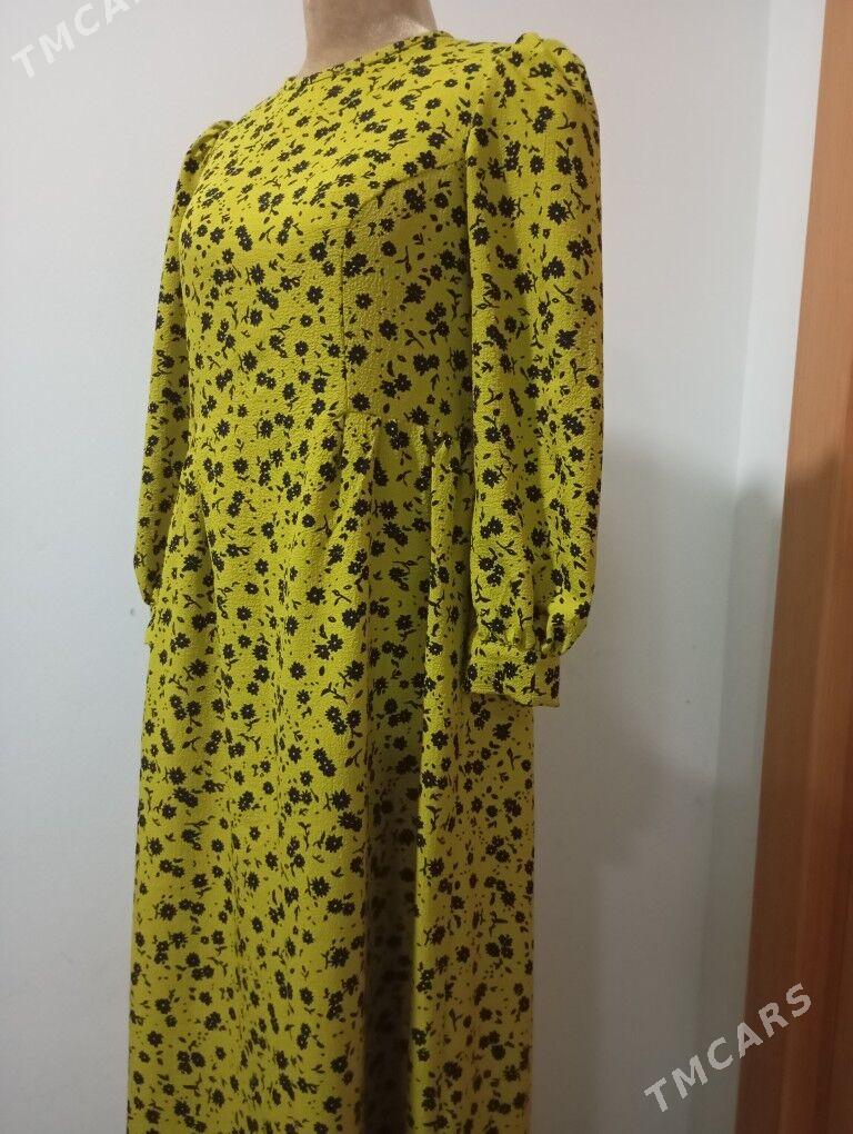 dikimci - Ашхабад - img 2