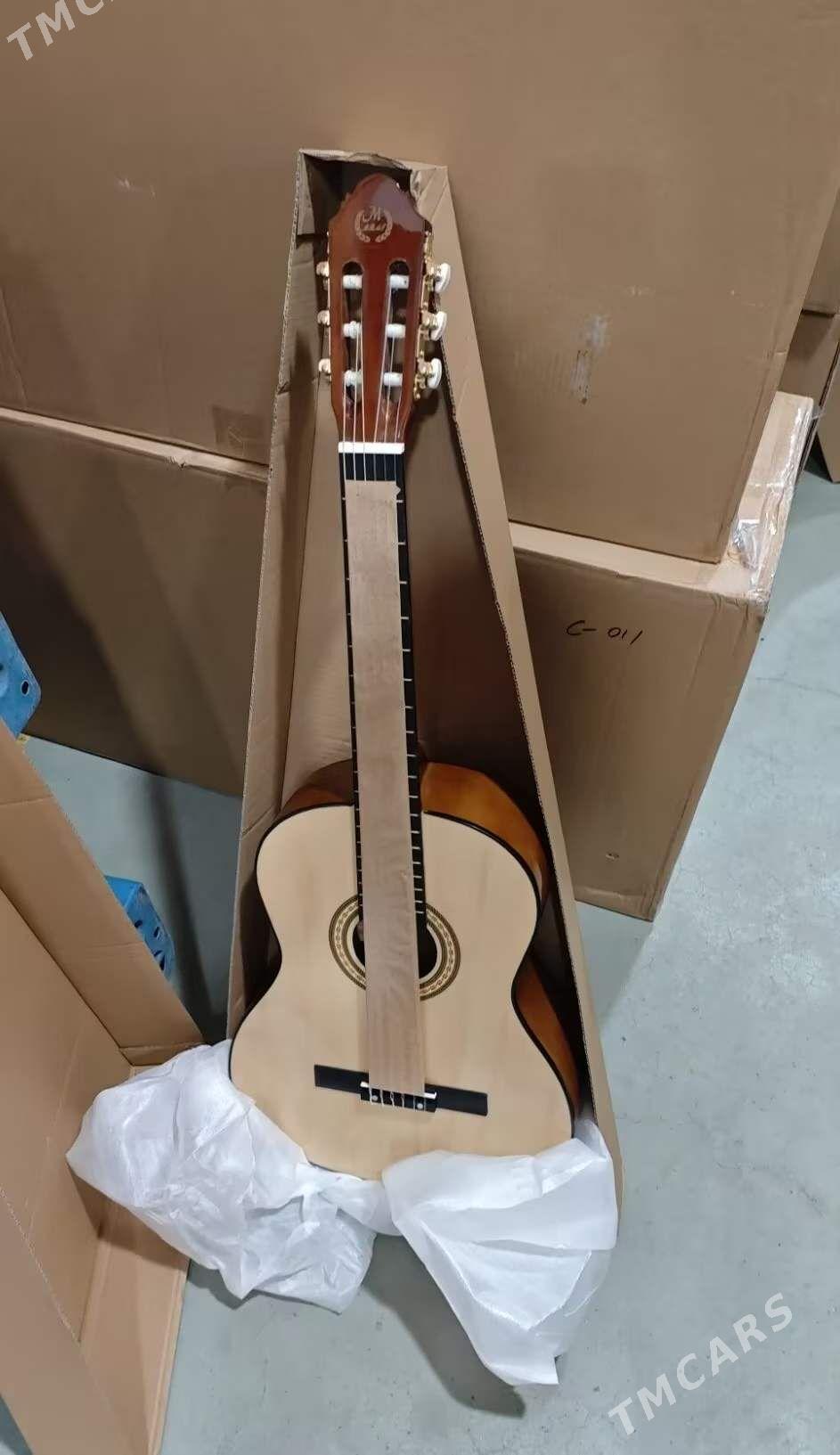 Gitara klassik - Ашхабад - img 3