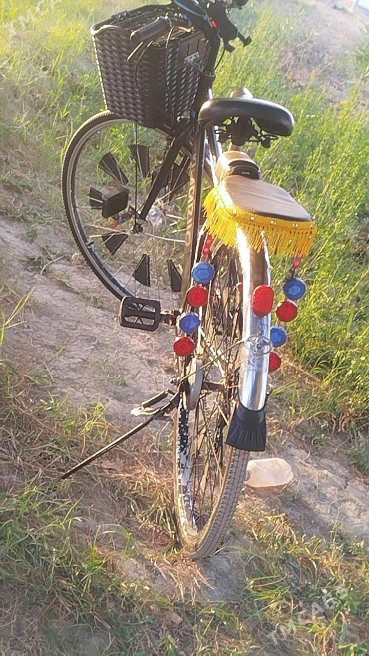 welik - Sakarçäge - img 5