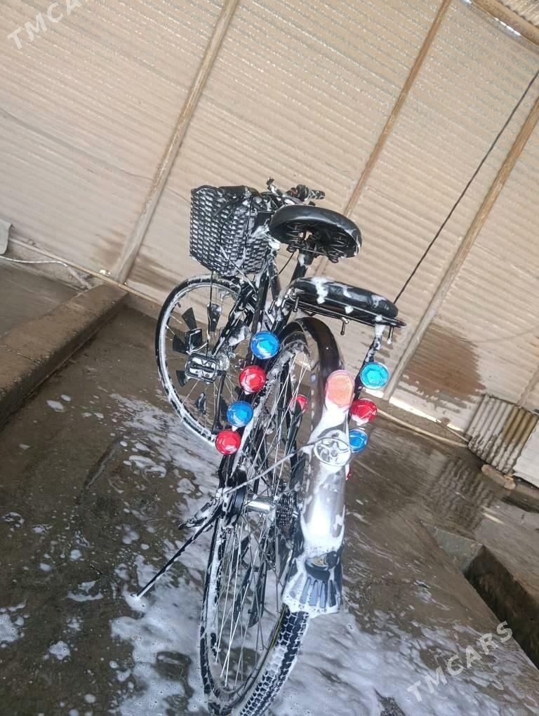 welik - Sakarçäge - img 3