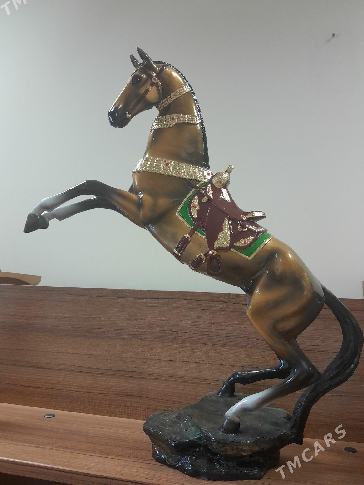 At satlyk - Ашхабад - img 3