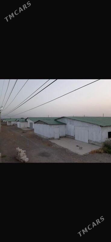 Satlyk ferma - Gökdepe - img 4