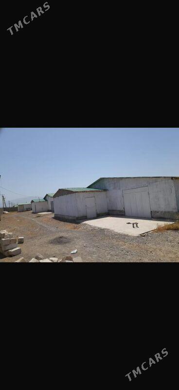 Satlyk ferma - Gökdepe - img 1