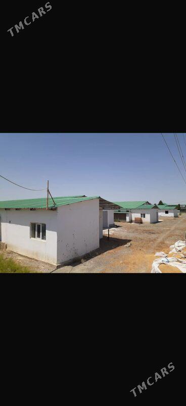 Satlyk ferma - Gökdepe - img 2