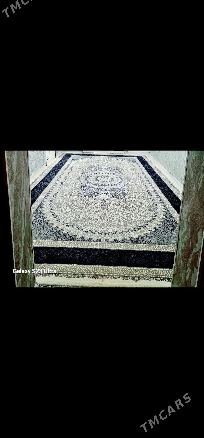 haly - 10 mkr - img 1