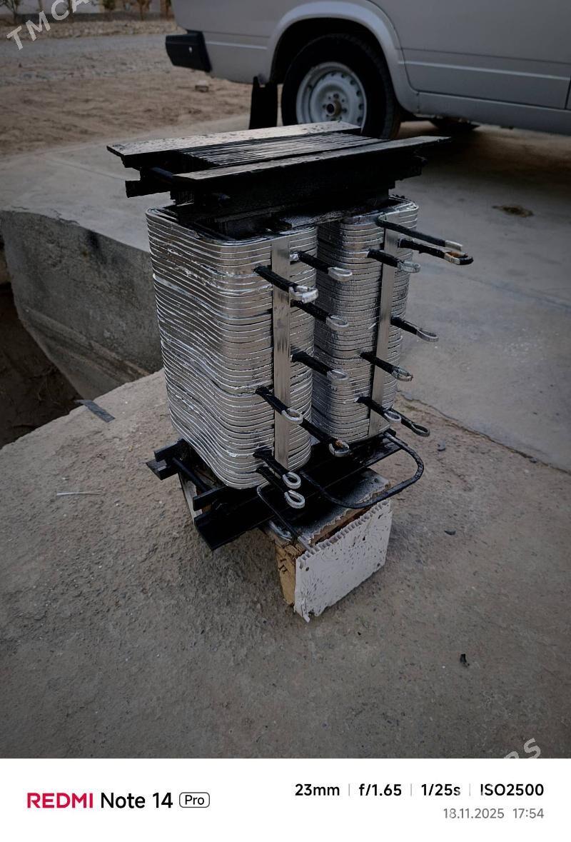 Tok kopeltyan - Murgap - img 2