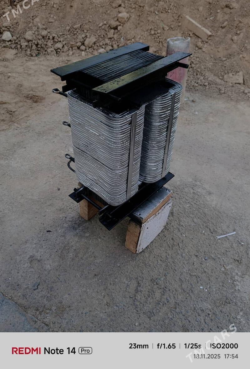 Tok kopeltyan - Murgap - img 3