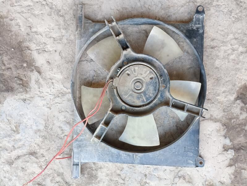 ЛопусЛопус 300 TMT - Daşoguz - img 1