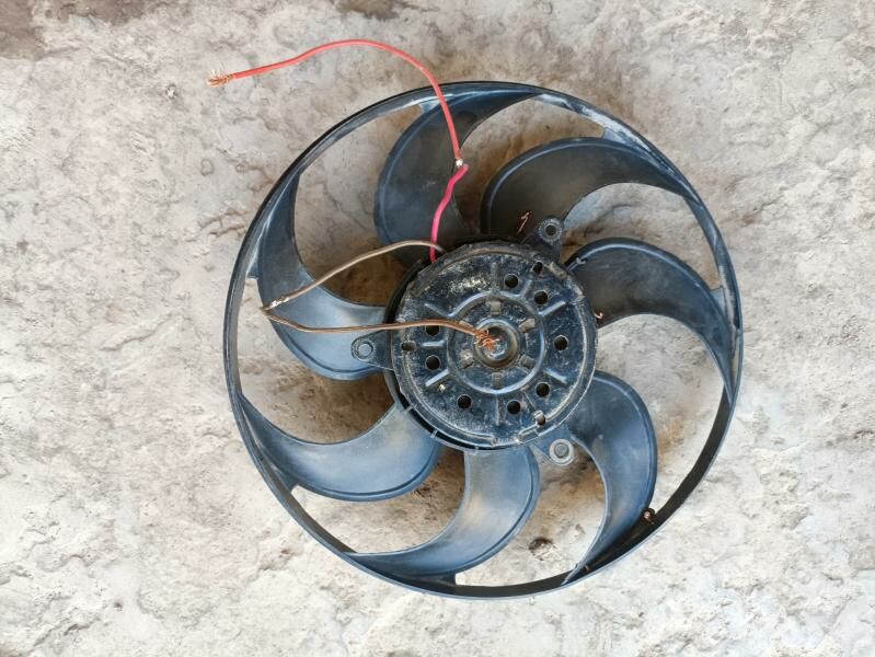 ЛопусЛопус 300 TMT - Daşoguz - img 3