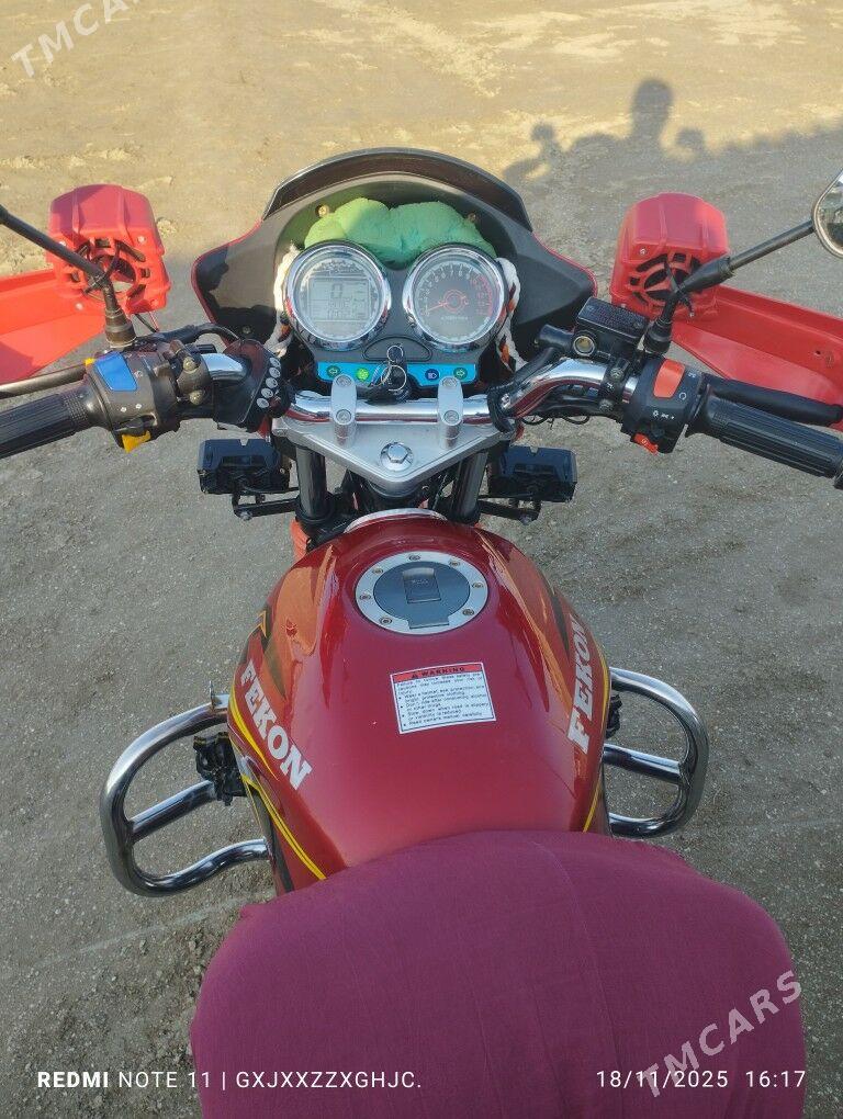 Fekon FK200-14G 2025 - 22 000 TMT - Эсенгулы - img 5