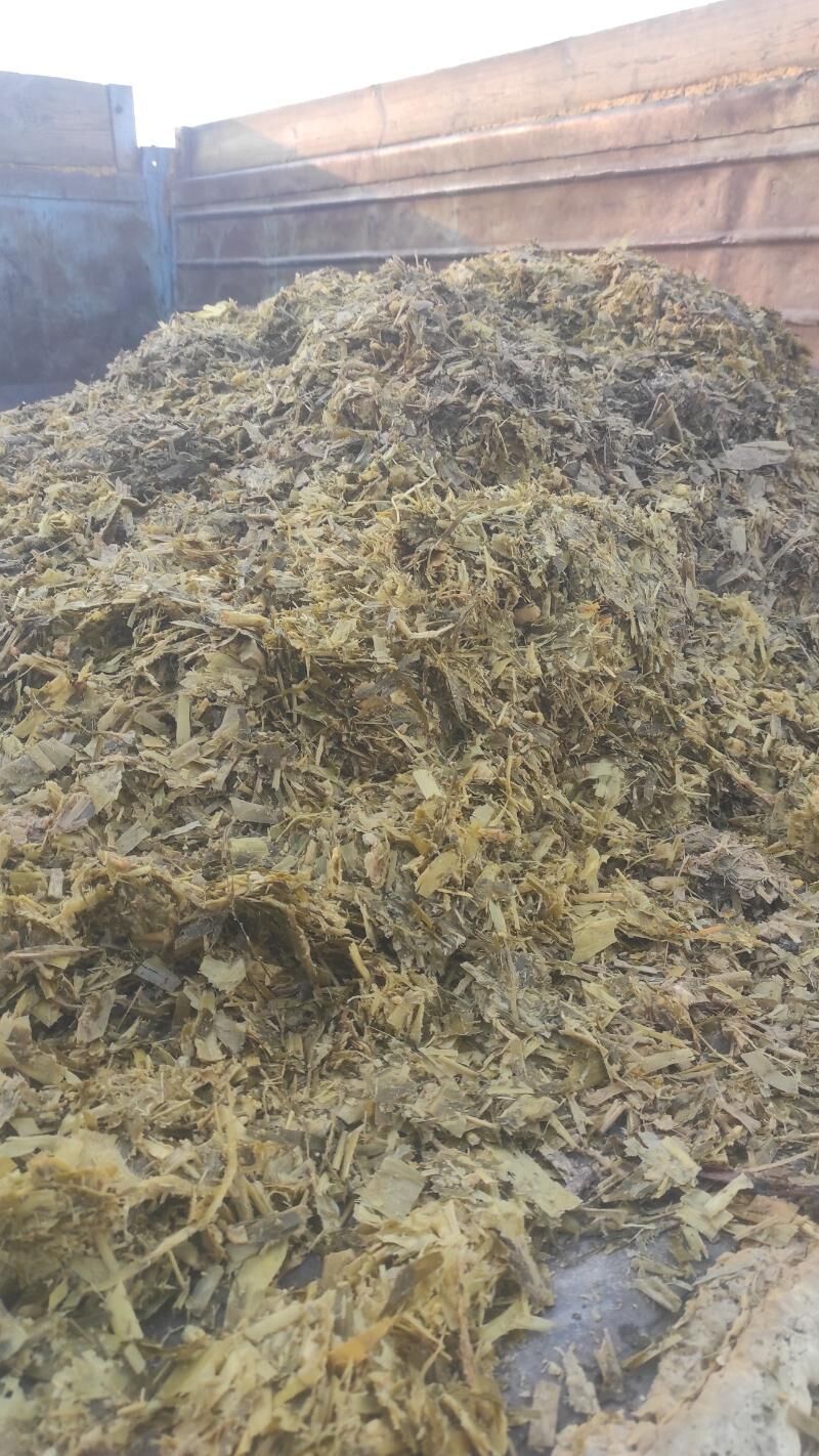 Mekge - Яшлык - img 3