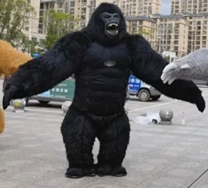 Satlyk Garilla aýy mişka maşa - Aşgabat - img 2