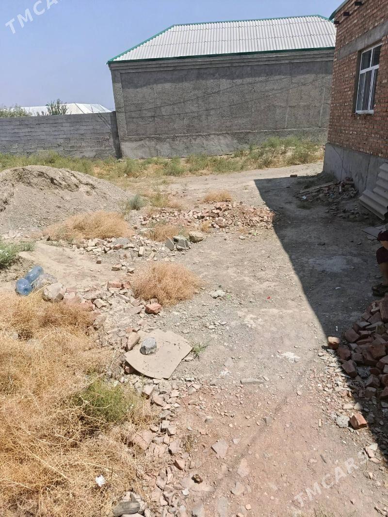 satlyk jay - Бахарден - img 2