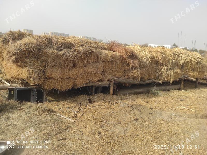 кип - Seýdi - img 2