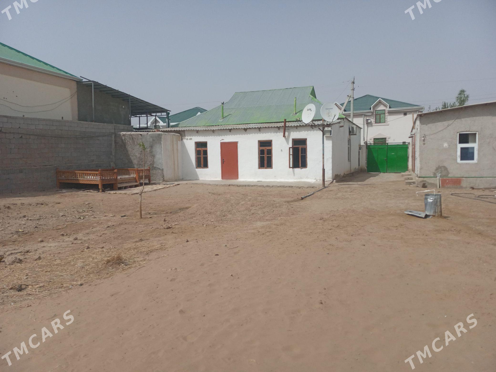 Coganly palan jay - Ашхабад - img 2