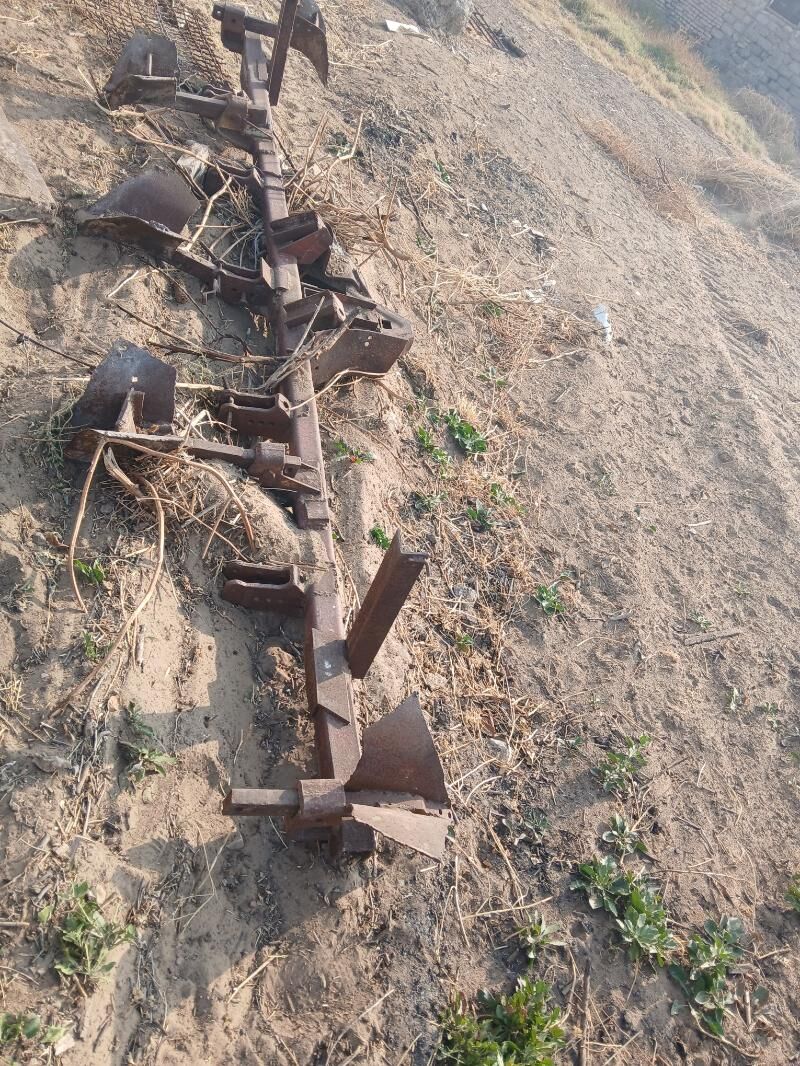 Okuşnik (joÿa keş) - Ак-Бугдайский этрап - img 4