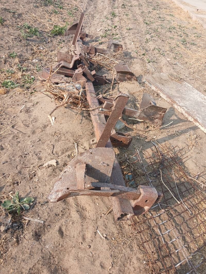 Okuşnik (joÿa keş) - Ак-Бугдайский этрап - img 5