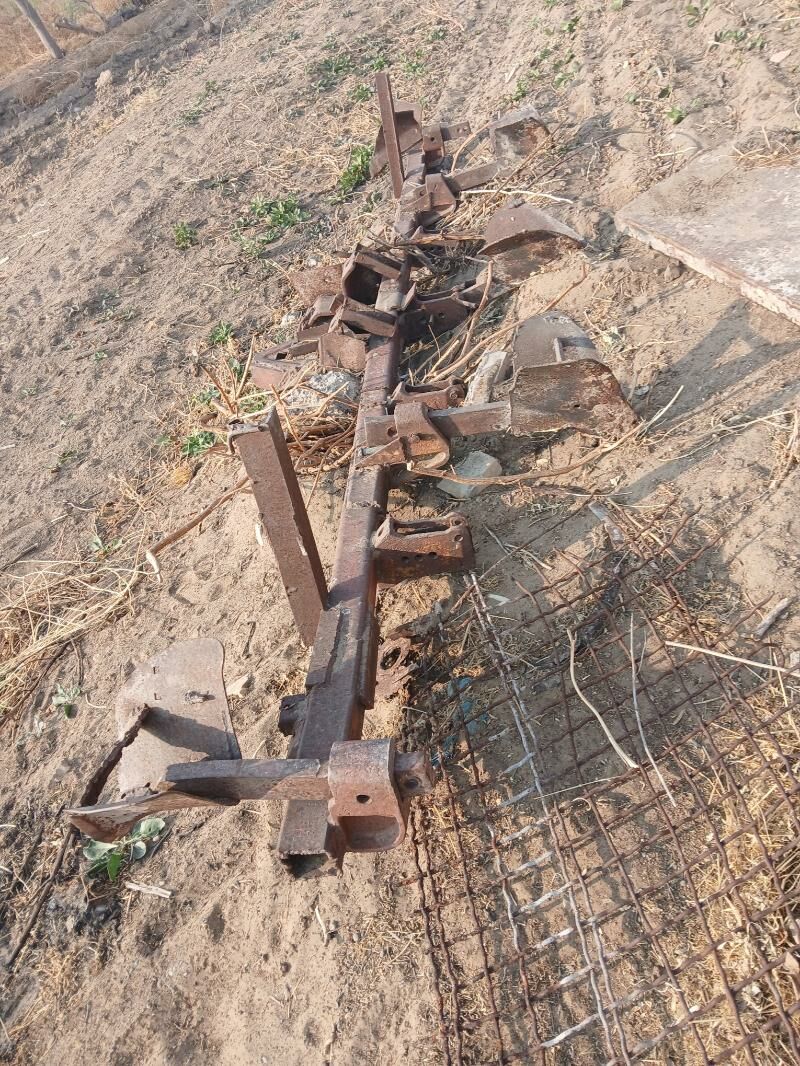 Okuşnik (joÿa keş) - Ак-Бугдайский этрап - img 6