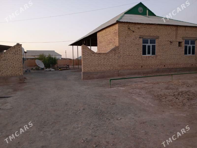 satlyk jay - Tejen - img 2